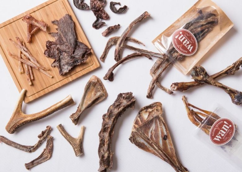 店舗紹介：ナチュラルペットフードwan! enkara market